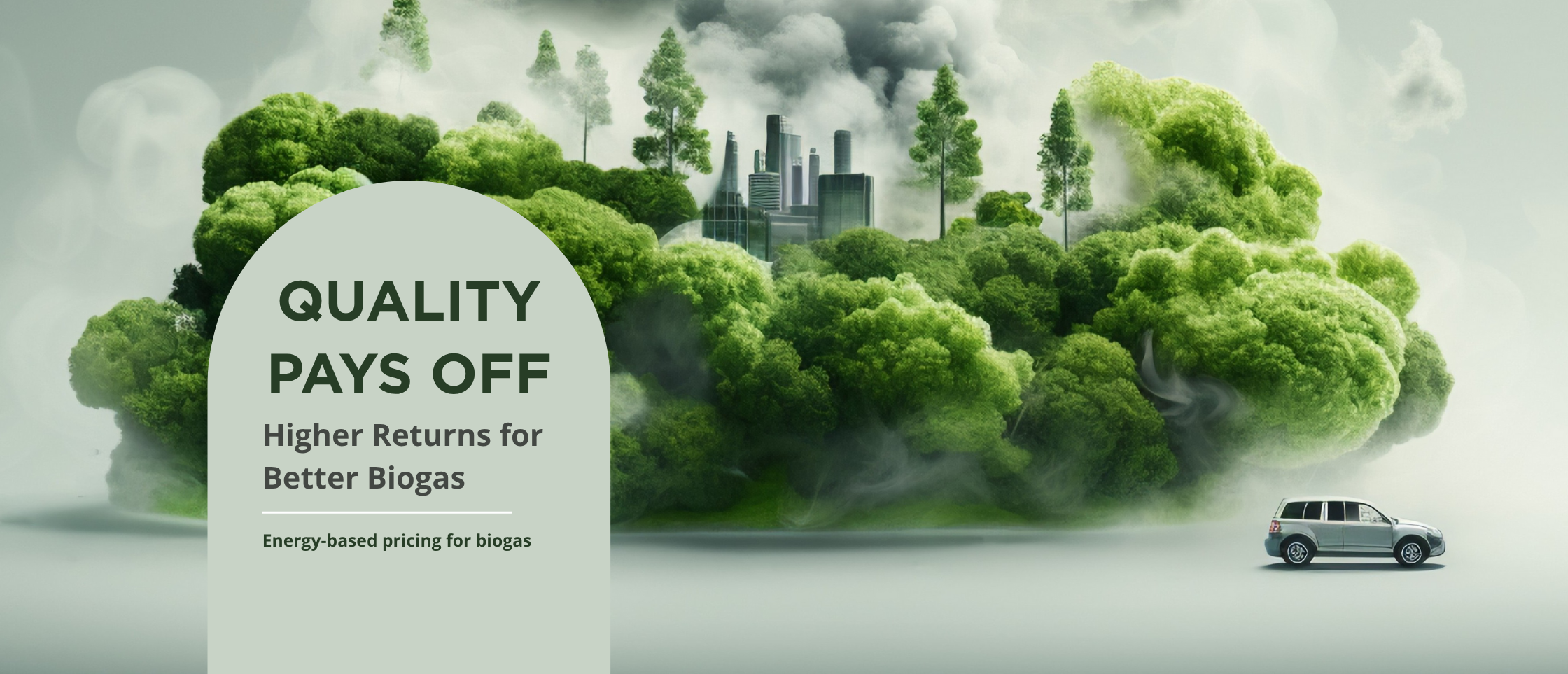 Renewable Energy Revolution